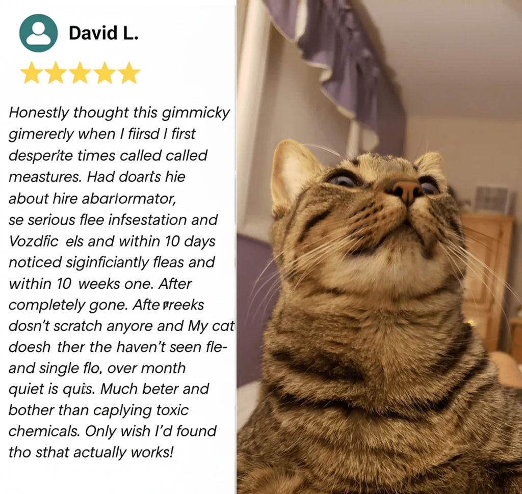 Vozdic Ultrasonic Device