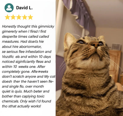 Vozdic Ultrasonic Device