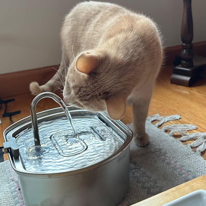 ThePawix™ Stainless Steel Water Fountain