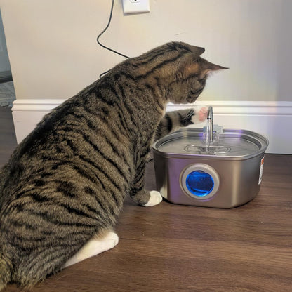 ThePawix™ Stainless Steel Water Fountain
