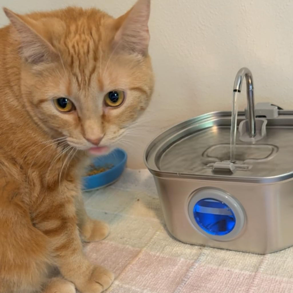 ThePawix™ Stainless Steel Water Fountain