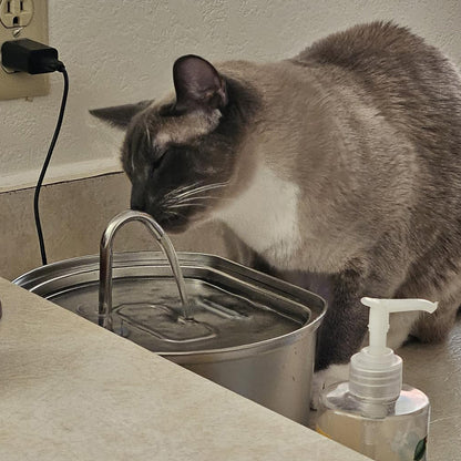 ThePawix™ Stainless Steel Water Fountain