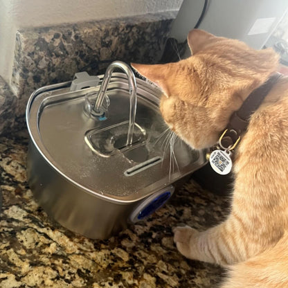 ThePawix™ Stainless Steel Water Fountain