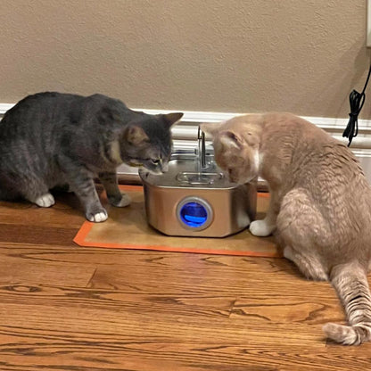 ThePawix™ Stainless Steel Water Fountain