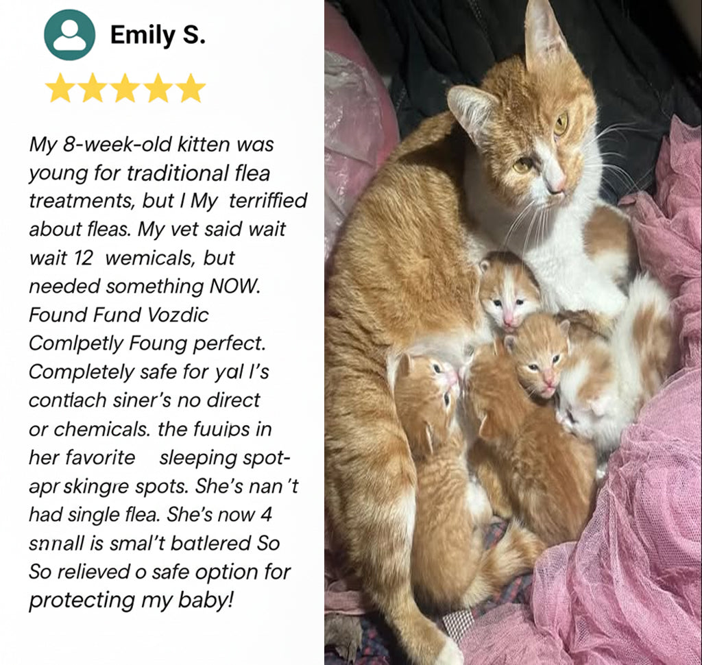 Vozdic Ultrasonic Device