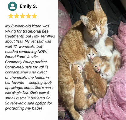 Vozdic Ultrasonic Device