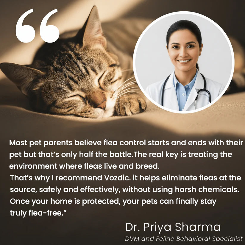 Vozdic Ultrasonic Device